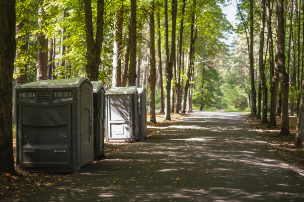 Best Luxury portable toilet rental  in Velda City, MO
